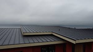 Fast & Reliable Emergency Roof Repairs in Mandan, ND